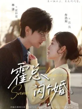 【短剧】霍总闪个婚